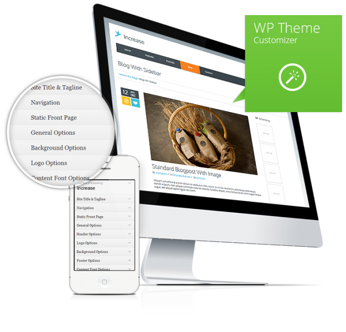 WP-Theme-Customizer